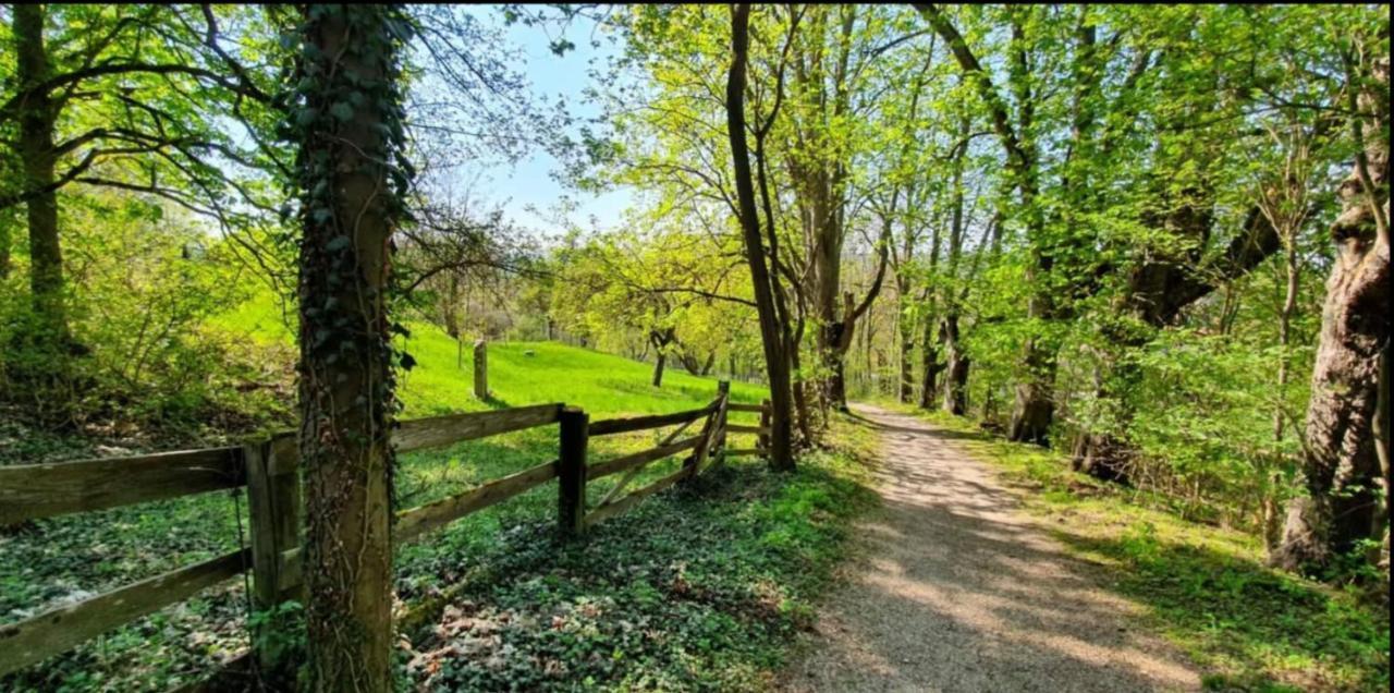 Fraenkische Landherberge, Hotel Garni Sesslach Buitenkant foto